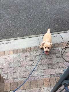 のんびり