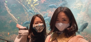 水族館デート
