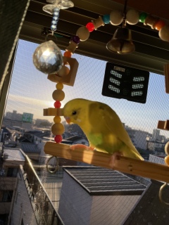 辛